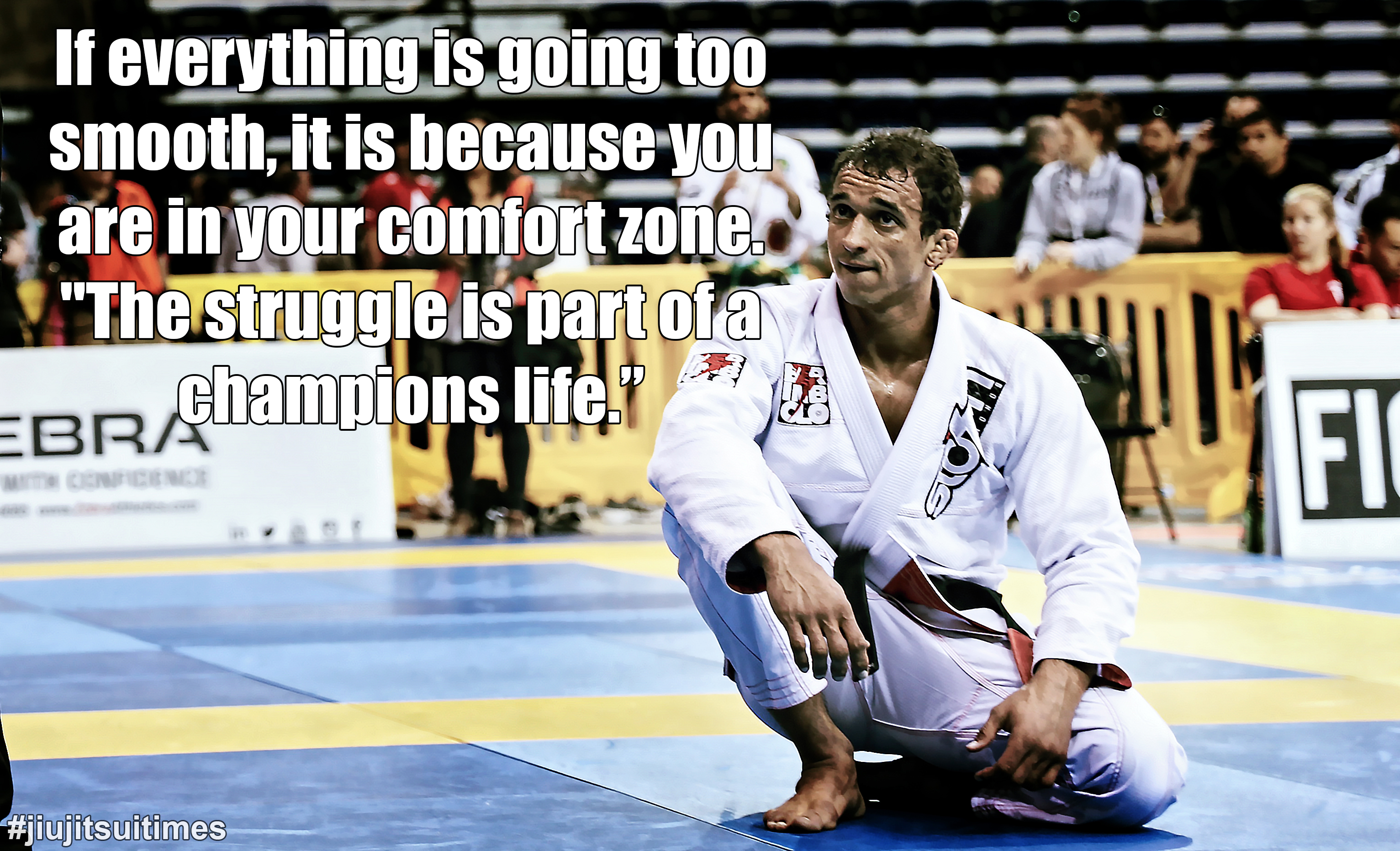 38 Best Bjj Quotes