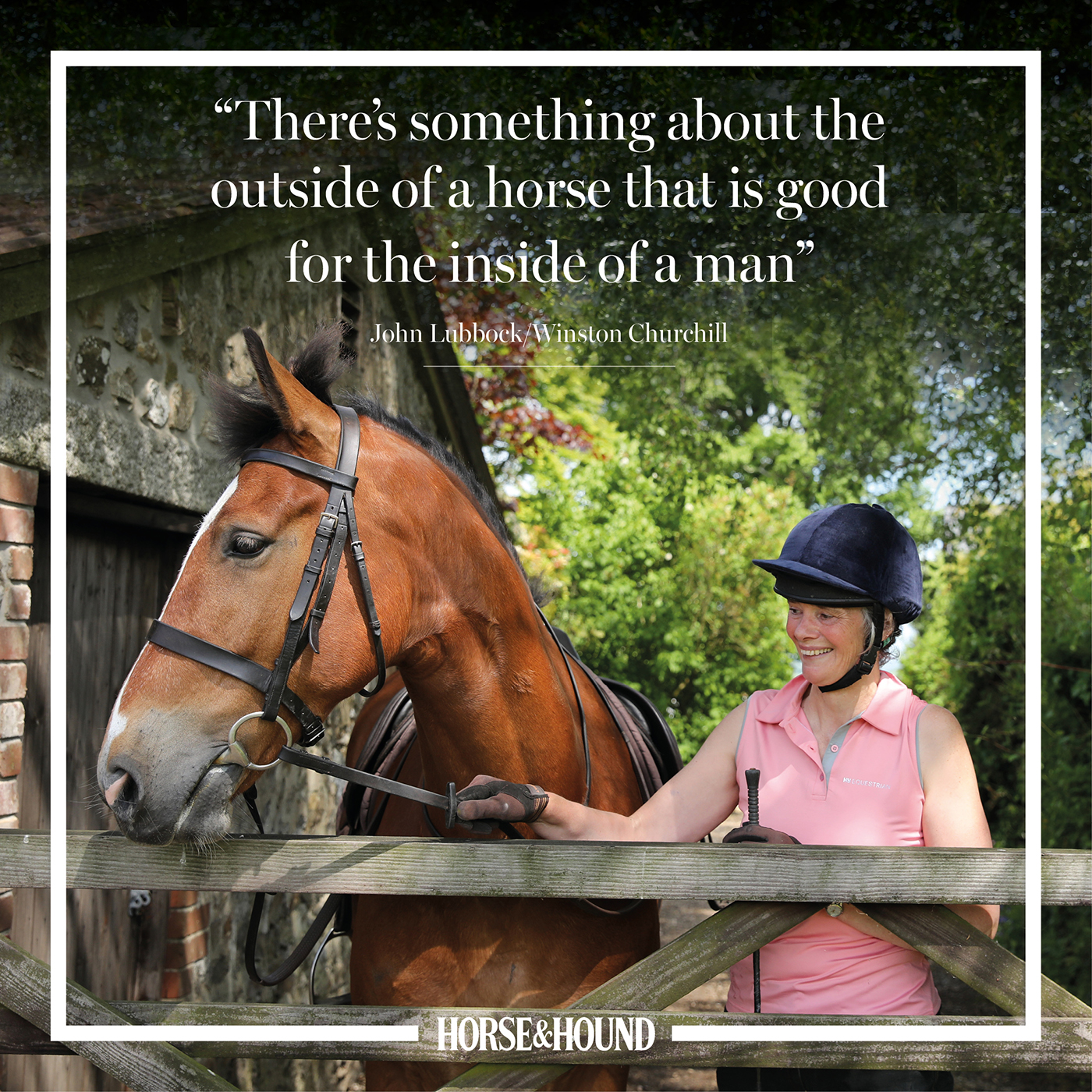 48 Best Equestrian Quotes