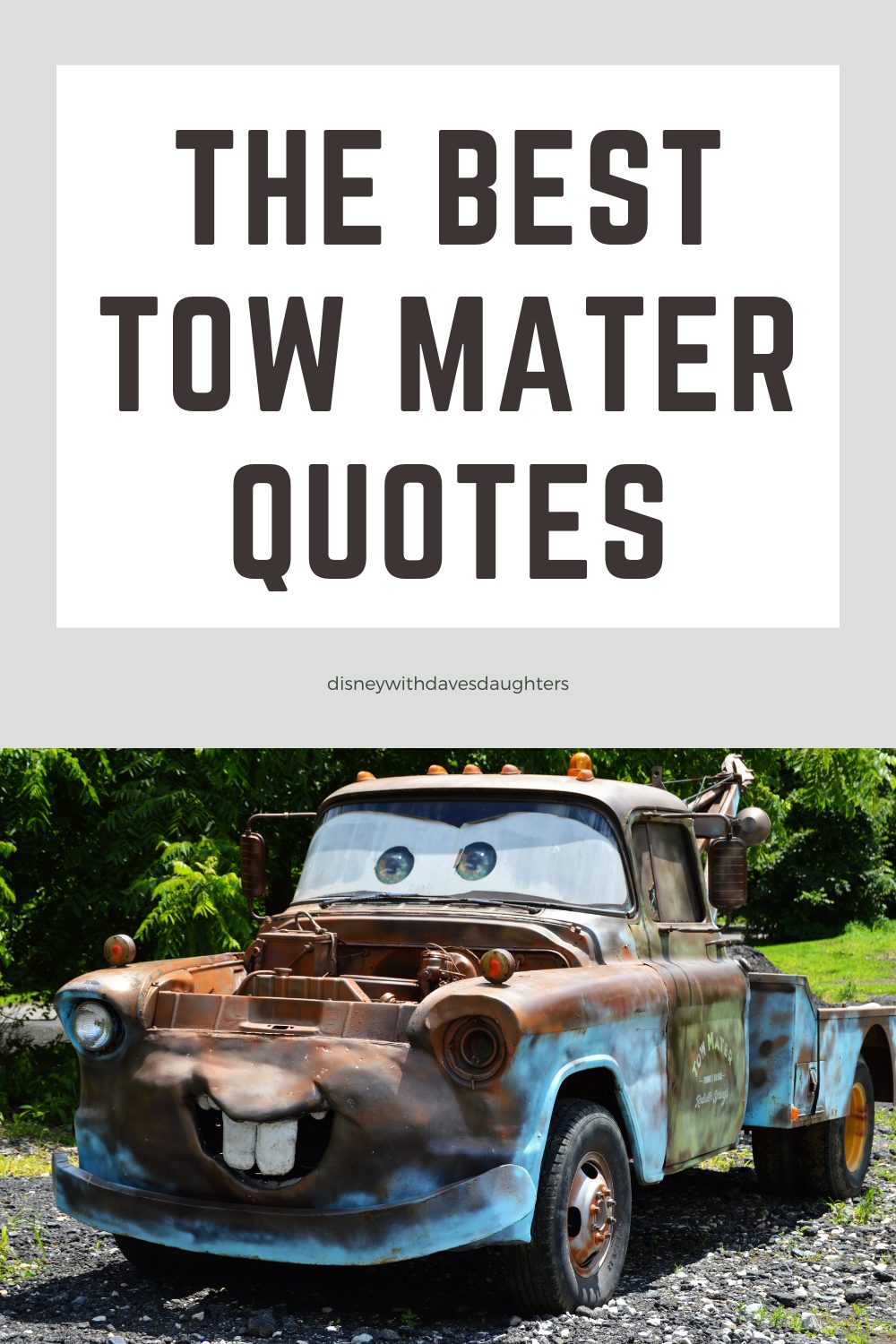 55 Best Mater Quotes