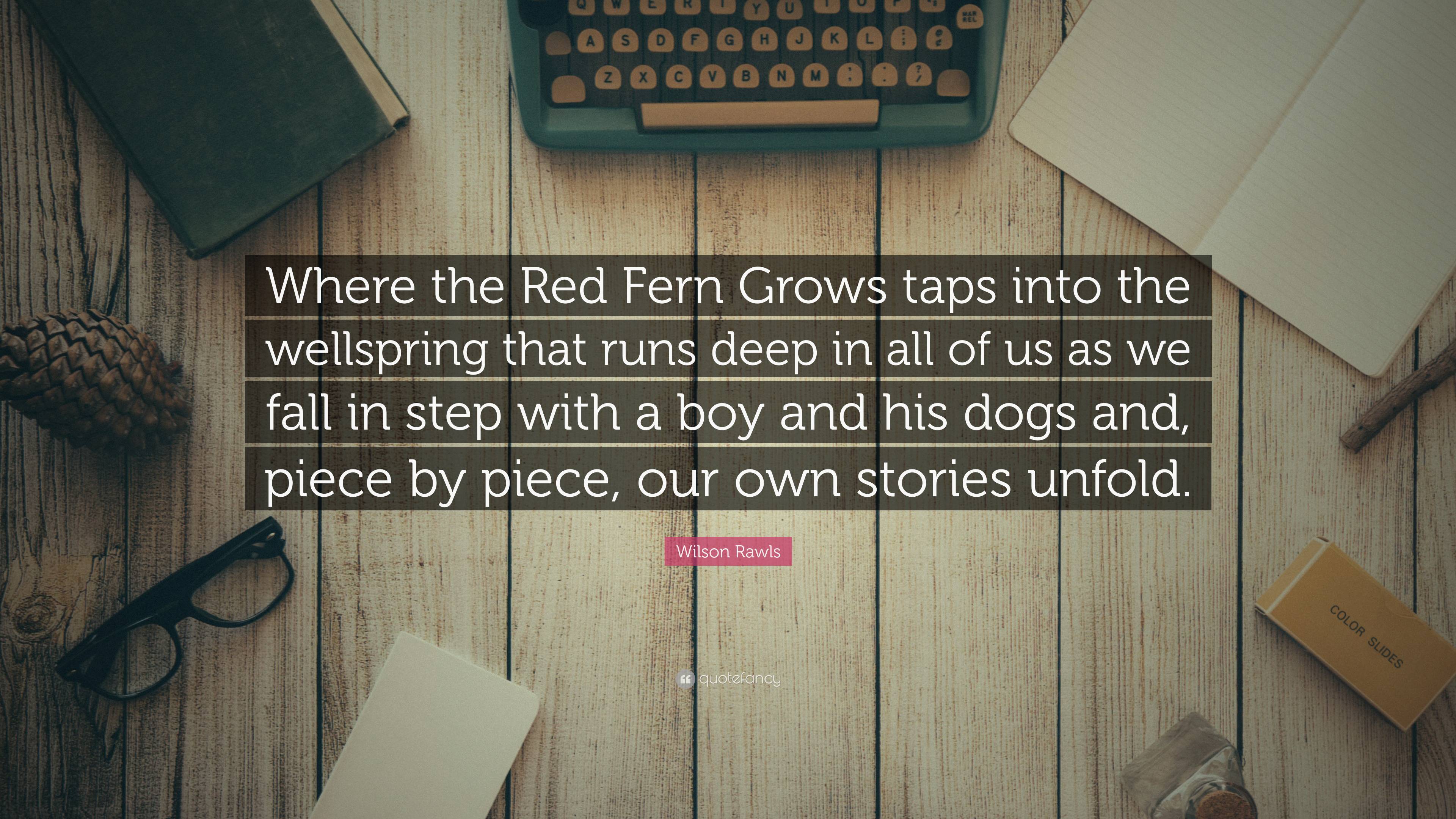64 Best Where The Red Fern Grows Quotes